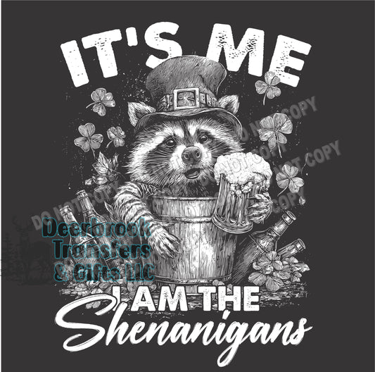 It's me I'm the shenanigans racoon   DTF Transfer