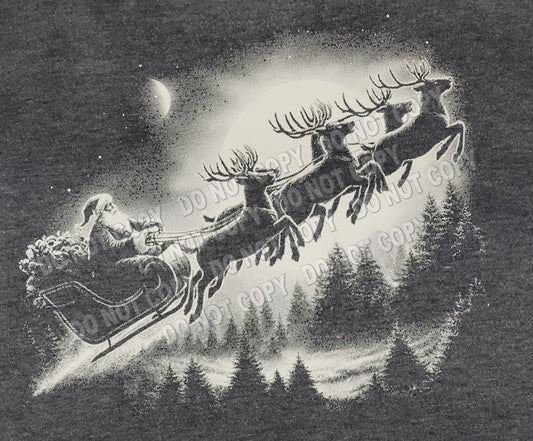 Santa in sleigh