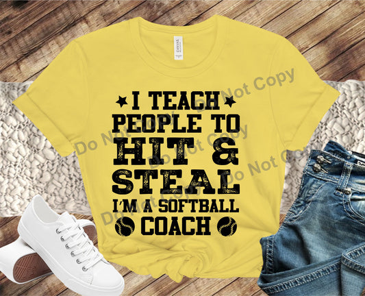 I teach people to hit and steal - I'm a softball coach transfer